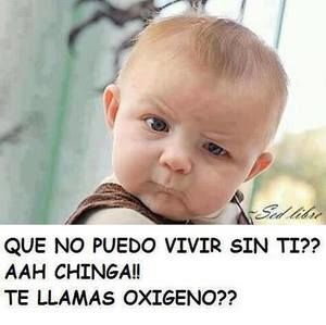 Meet your Posher, Paco